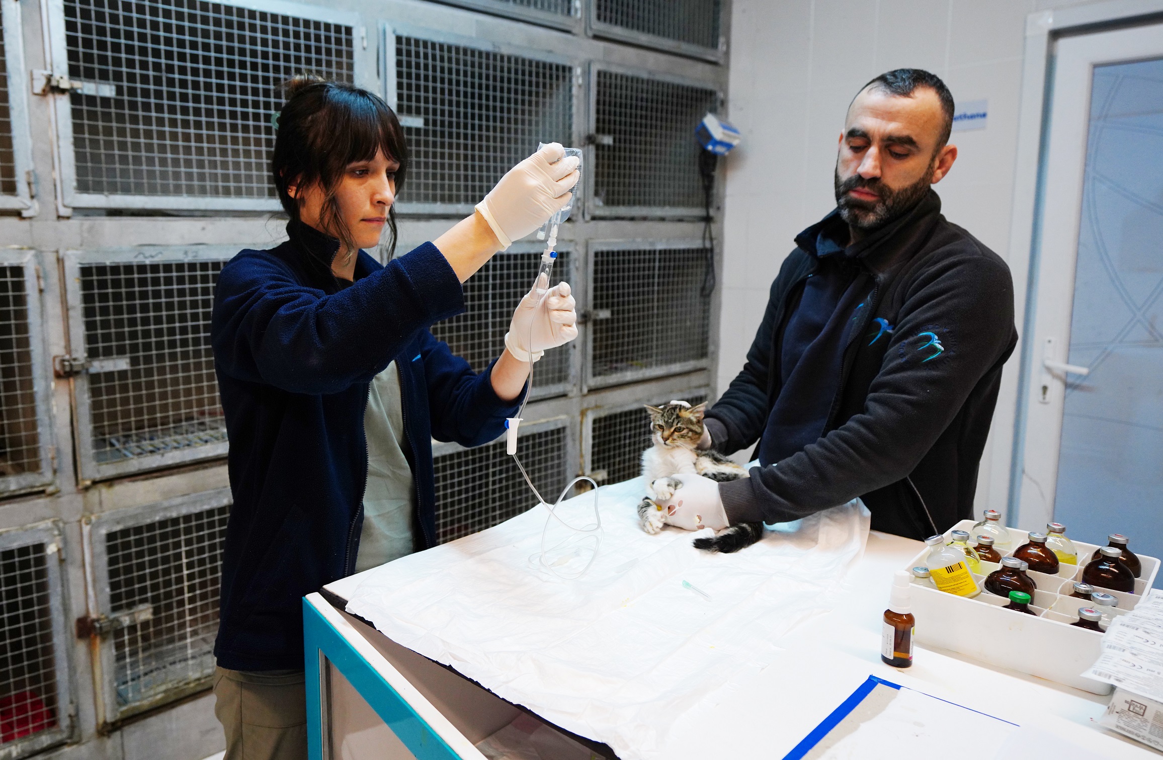 Beylikdüzü’nde patili dostlara sevgi dolu hizmetler