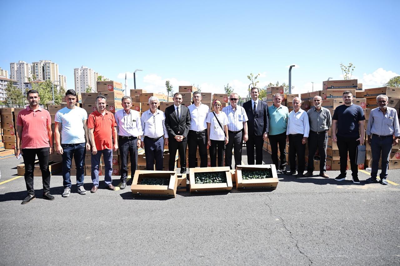 İBB ve Silivri Belediyesi'nden Çiftçilere Fide Desteği