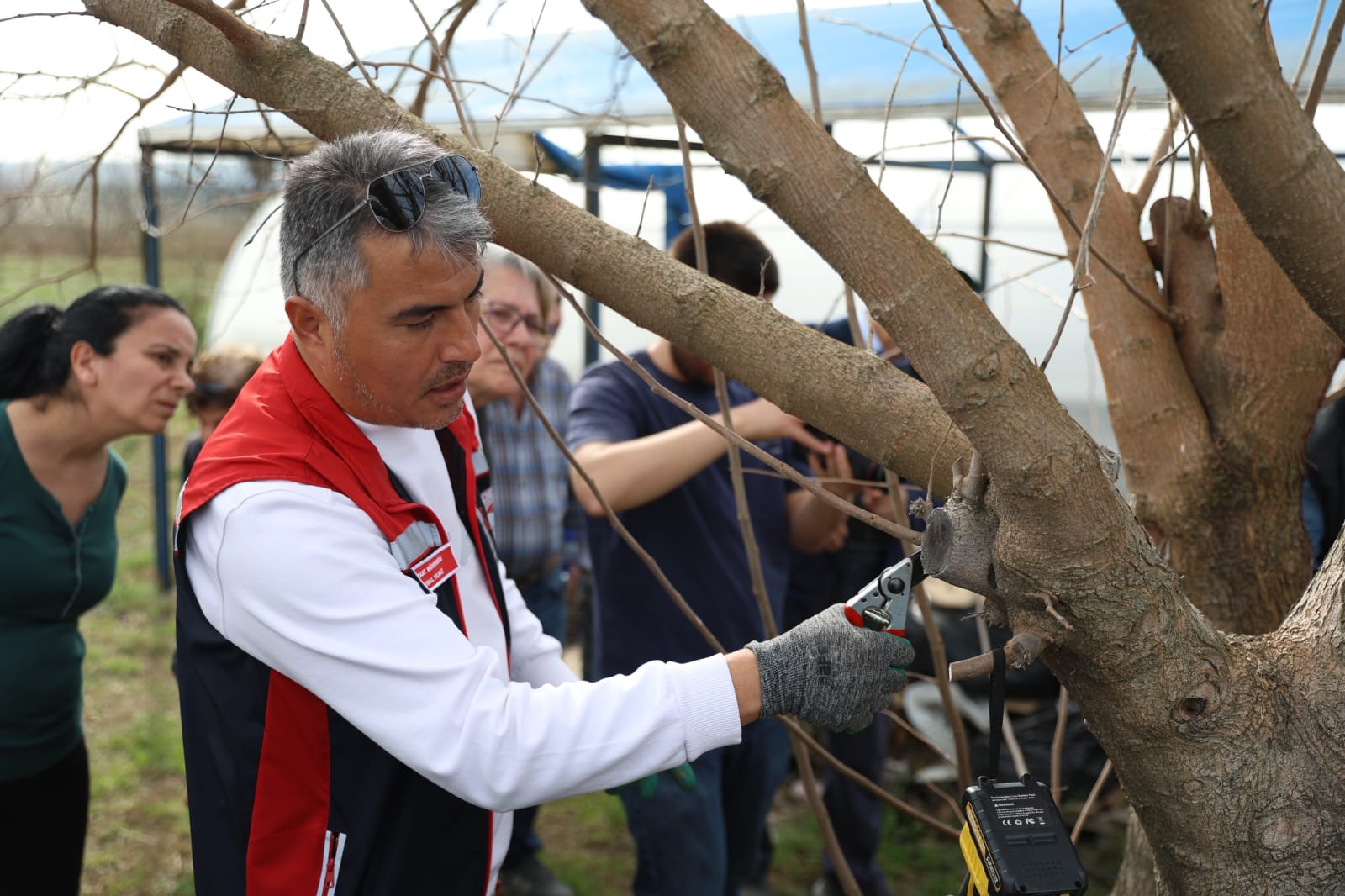 Silivri Belediyesi Budama ve Aşılama Teknikleri Eğitimi Verdi