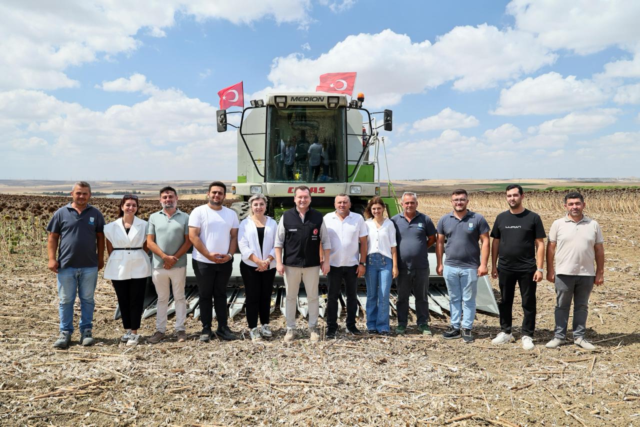 Silivri Belediyesi’nin Ayçiçeği Hasadı Başladı