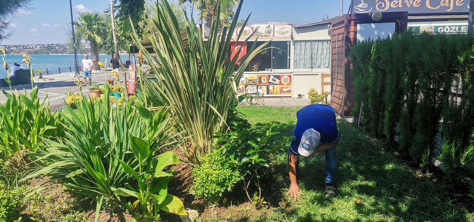 Silivri Belediyesi Yeşil Alanlarda Bakım Ve Onarım Çalışmalarını Sürdürüyor