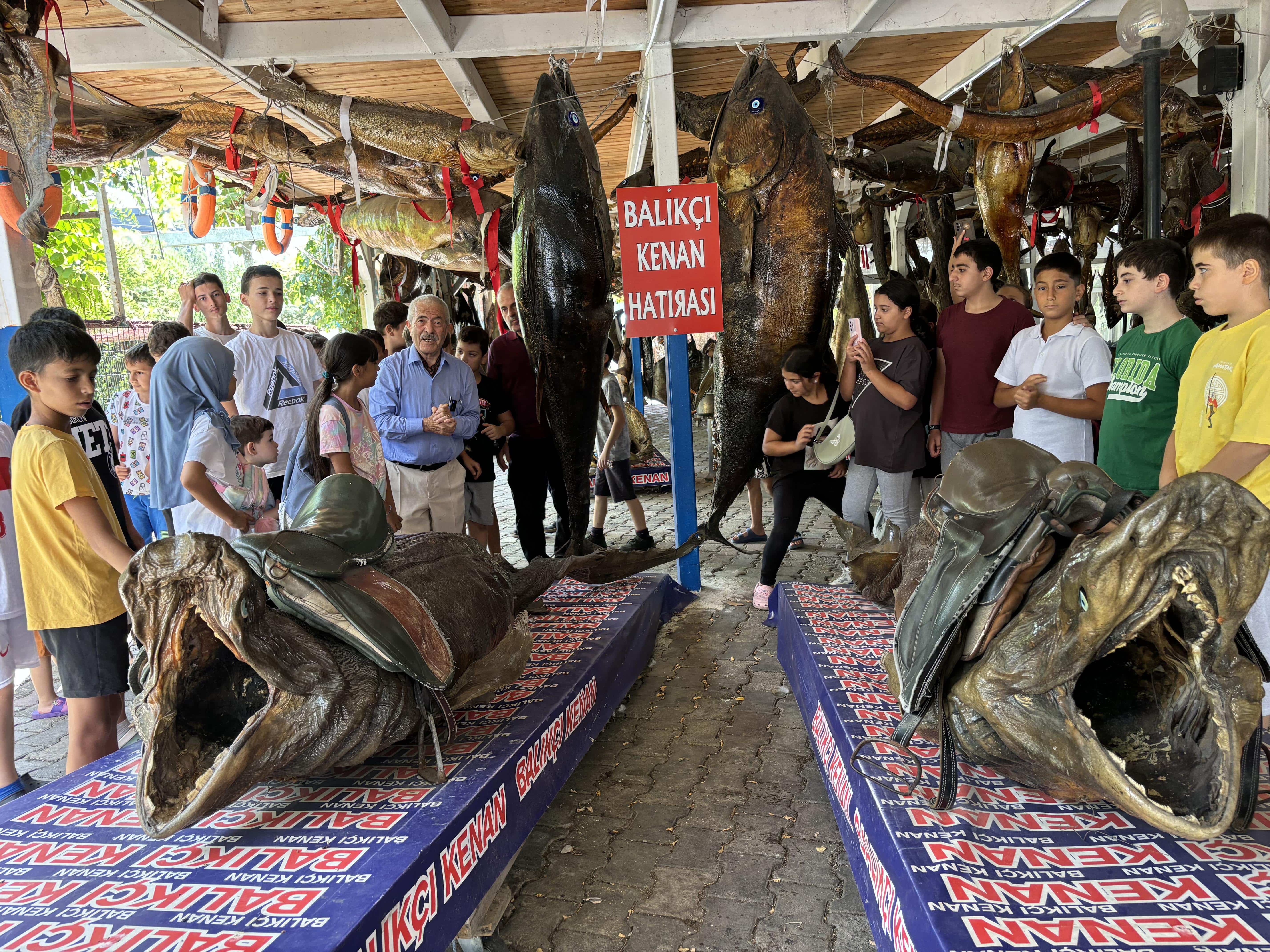 Yarım asırlık mumya balık müzesi öğrencilerin okulu oldu