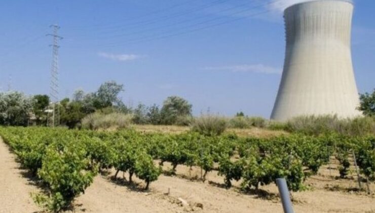 İspanya’da nükleer santralde gaz kaçağı: 1 ölü 3 yaralı