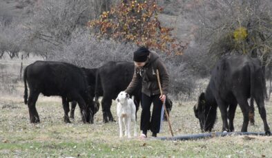 Liseli satranç şampiyonu Melek, hayvancılıkla uğraşan ailesine de destek oluyor