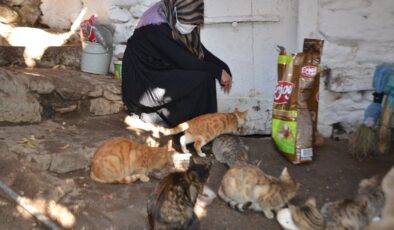 Muş’ta 8 yıldır sahiplendiği kedileri evinde besliyor