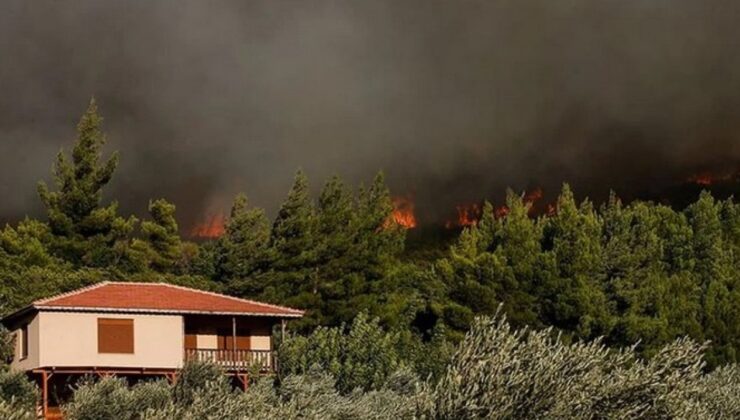 Ormana bitişik parsellerde yapı inşası yasaklandı