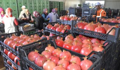 Rusya, nar ve biber ithalatını durdurdu