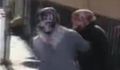 Zeytinburnu’nda, ‘kedilere çamaşır suyu veriyor’ kavgası kamerada