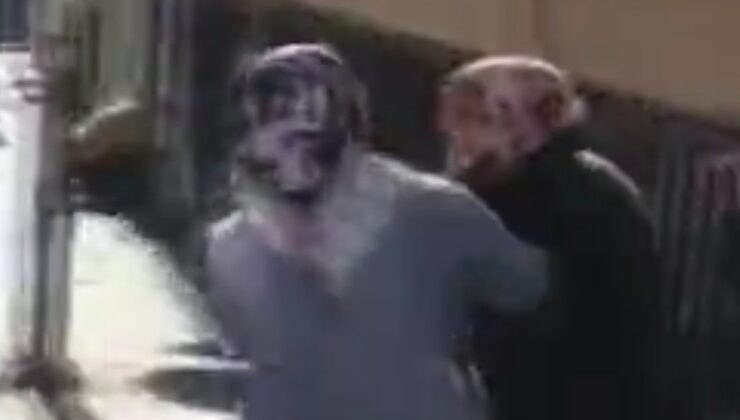 Zeytinburnu’nda, ‘kedilere çamaşır suyu veriyor’ kavgası kamerada