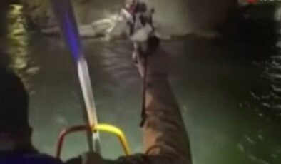 ABD sınırında mahsur kalan göçmenleri, Meksika kurtardı