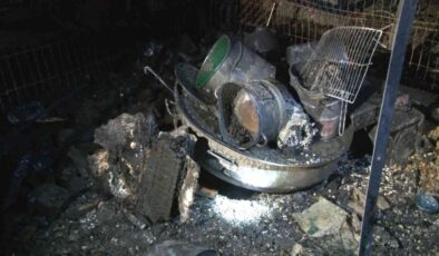 Ankara’da sokak hayvanlarına ait barınak alev alev yandı