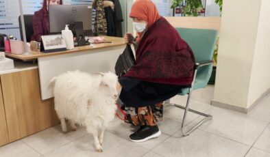 Ankara’da vergi borcunu yatırmaya keçisiyle gitti