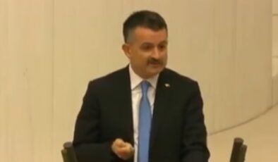 Bekir Pakdemirli: Yangınları biz çıkarmadık, söndürmek için canlar verdik