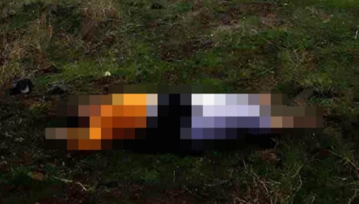 Diyarbakır’da kayıp aranan anne, ölü bulundu