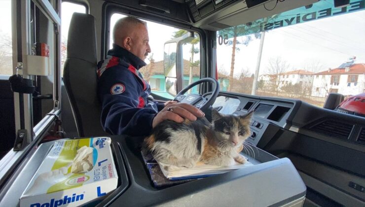 Düzce’de itfaiyenin kurtardığı kedi, yanlarından ayrılmıyor