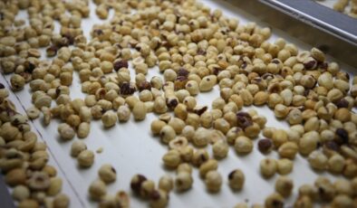 Fındıkta 300 bin tonluk ihracat hedefleniyor