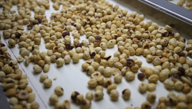 Fındıkta 300 bin tonluk ihracat hedefleniyor