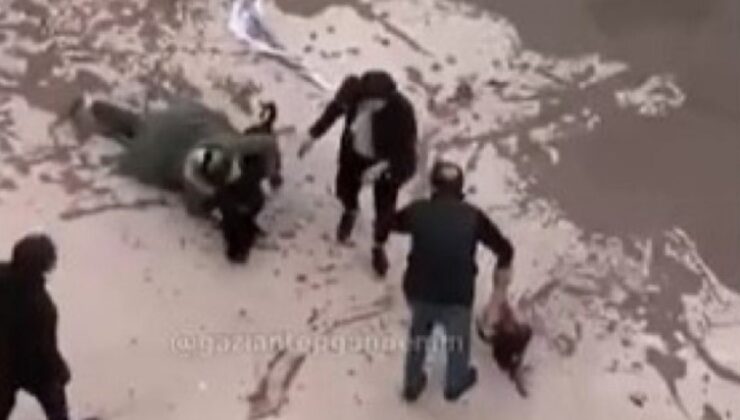 Gaziantep’te pitbull saldırısına uğrayan Asiye’nin ailesi: Davacı olmayalım diye para teklif ettiler