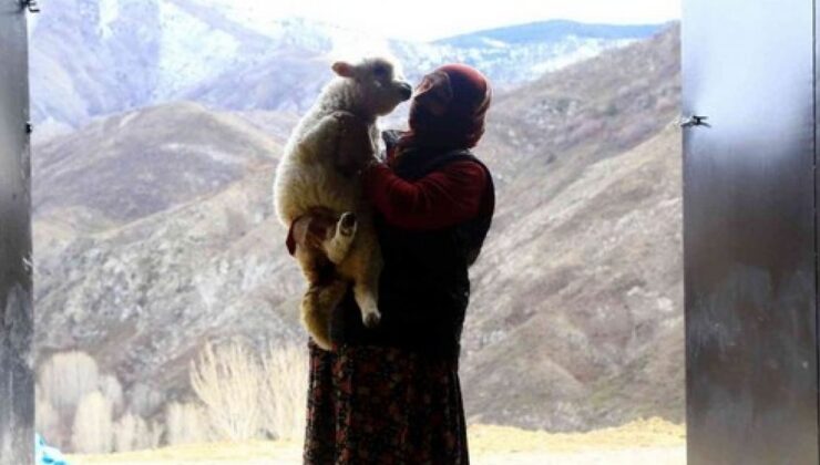 Gümüşhaneli kadınlar, bilezikleriyle hayvancılığa yatırım yaptı