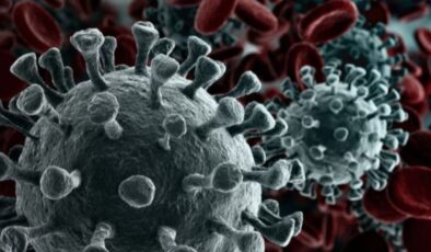 Hint uzmana göre Delmicron varyantı yok