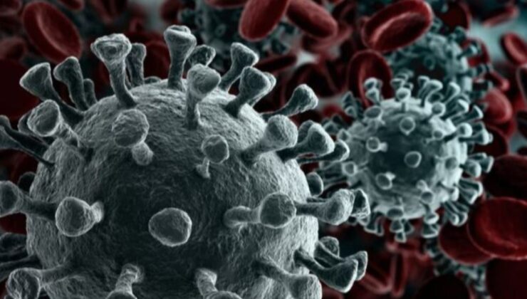 Hint uzmana göre Delmicron varyantı yok