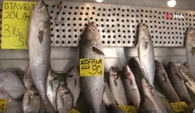 İstanbul’da kofananın kilosu 250’den 90 liraya düştü