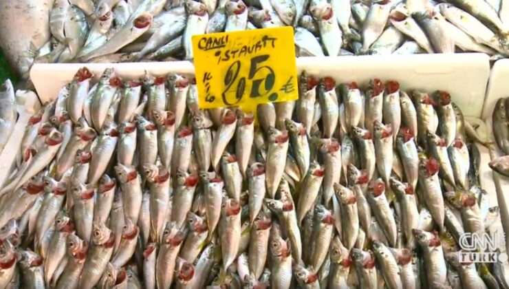 İstanbul’da lodos nedeniyle balık fiyatları yükseldi