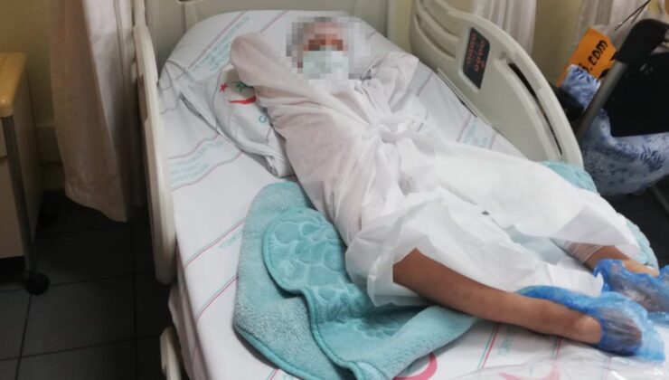 İzmir’de pitbull saldırısı: Sahibi tasmayı bırakınca yaraladı