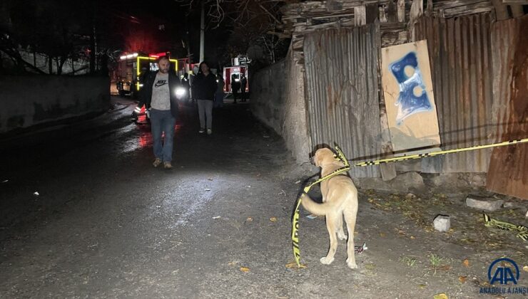 Karabük’te evde çıkan yangında 5 köpek yaşamını yitirdi
