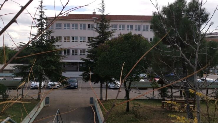 Kocaeli’de pitbull cinsi köpek 5 öğrenciyi yaraladı