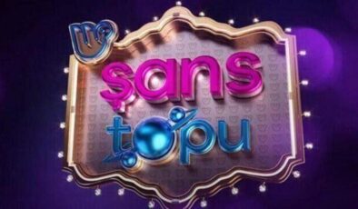 MPİ 29 Aralık 2021 Şans Topu sonuçları: Şans Topu bilet sorgulama ekranı