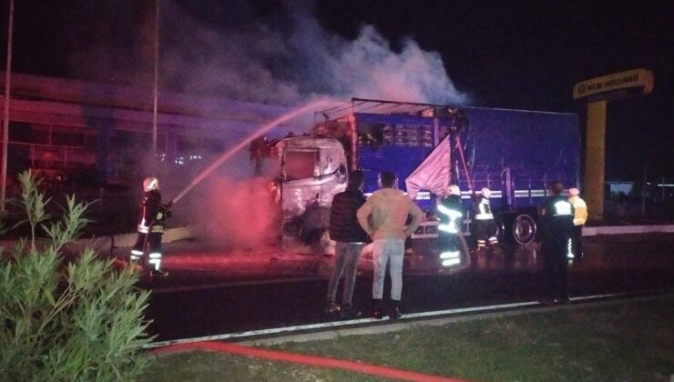 Muğla’da sebze ve meyve yüklü kamyon alev topuna döndü