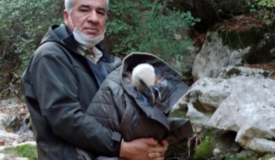 Osmaniye’de bir görevli, bitkin halde bulduğu akbabayı kurtardı