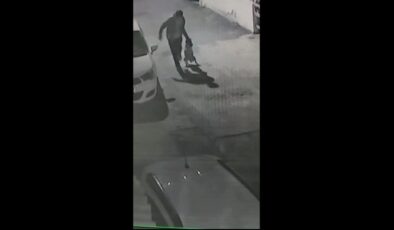 Pendik’te köpeğin boğazını sıkıp işkence yaptı