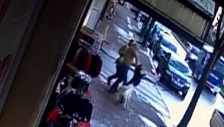 Sakarya’da 3 kişi ısıran köpekler, belediye işçisini de ısırdı