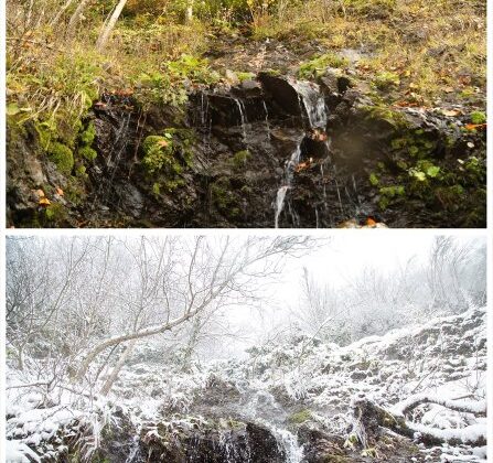 Sakarya’da doğa şölen sunuyor: Sonbahar ve kış bir arada