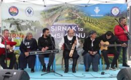 Şırnak’ta hamsili Karadeniz festivali
