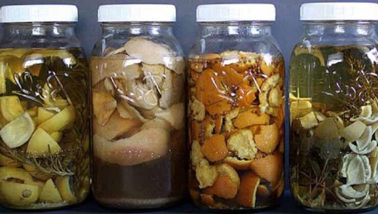 Turunçgil sirkesi: Portakal, mandalina, limon ve greyfurt kabuklarından…