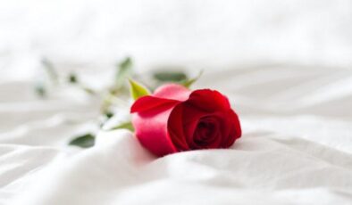 Yatak odanızda gül yaprağı kullanın, cinsel gücünüzü artırın