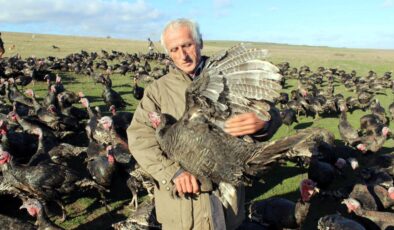 Yılbaşı hindisi satışları erken başladı