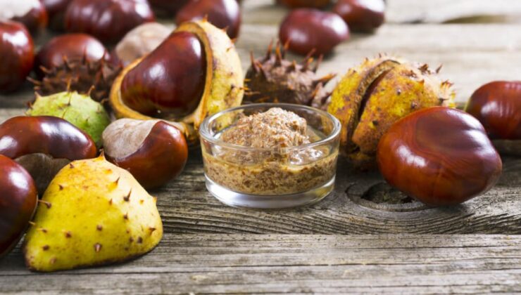 At kestanesini şah damarına sürmenin faydaları