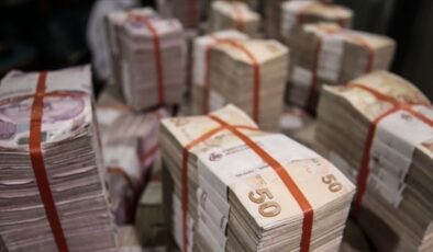 Dövize karşı ‘Liralaşma stratejisi’