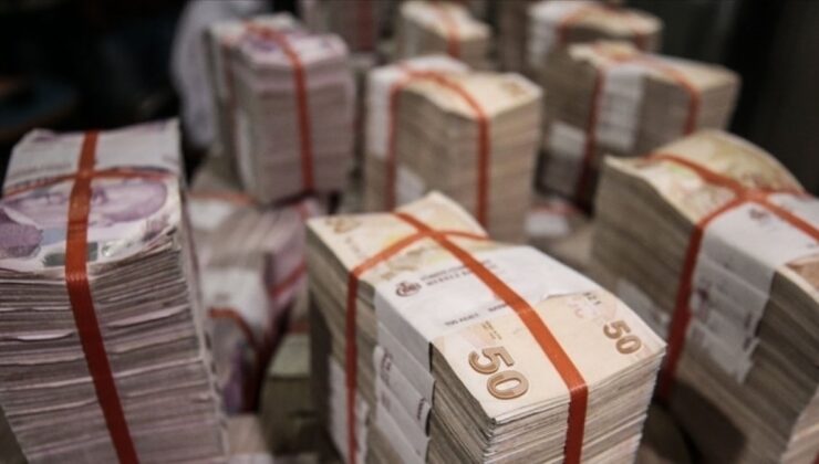 Dövize karşı ‘Liralaşma stratejisi’