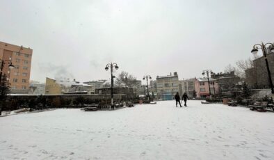 Erzurum ve Kars’ta soğuk hava hayatı olumsuz etkiliyor
