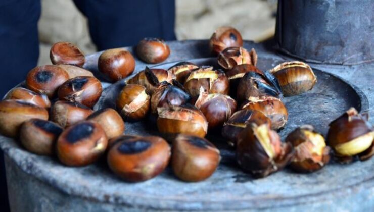 Fiyatına aldanmayın: Çin kestanesinin 3 farkı