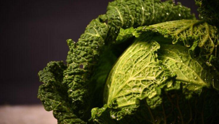 Karalahananın suyunu sıkıp aç karnına içmenin faydaları