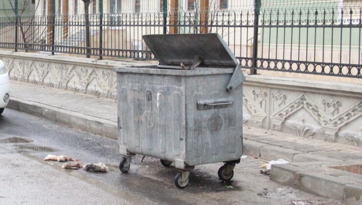 Karaman’da kedilerin derisi yüzüldü ihbarına giden polis, tavşan derisi buldu