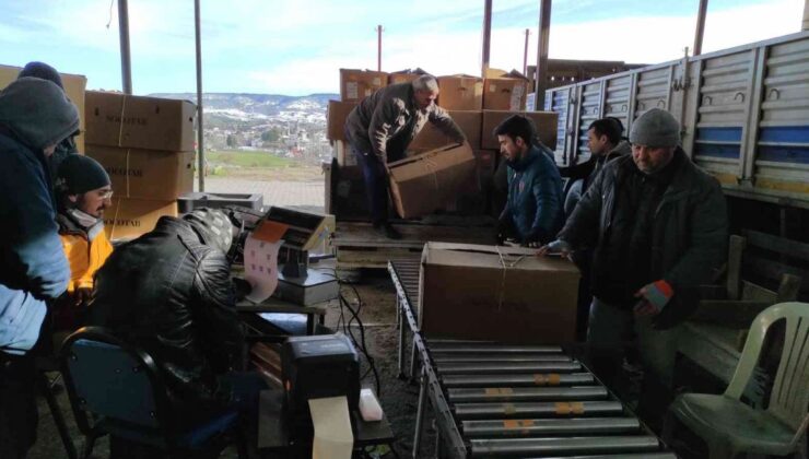 Manisa Selendi’de tütünde başfiyat 35 lira olarak belirlendi