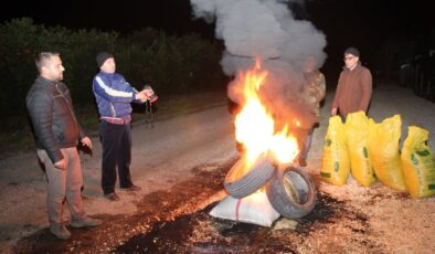 Mersin’de çiftçiler zirai don nöbetinde