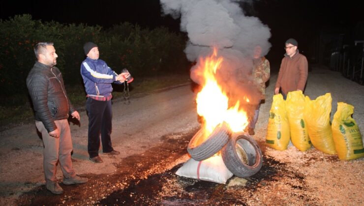 Mersin’de çiftçiler zirai don nöbetinde